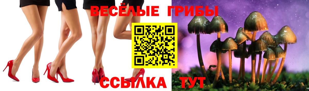 Псилоцибиновые грибы прущие грибы  Вход с VPN  Курчалой 